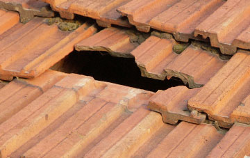 roof repair Laigh Glengall, South Ayrshire